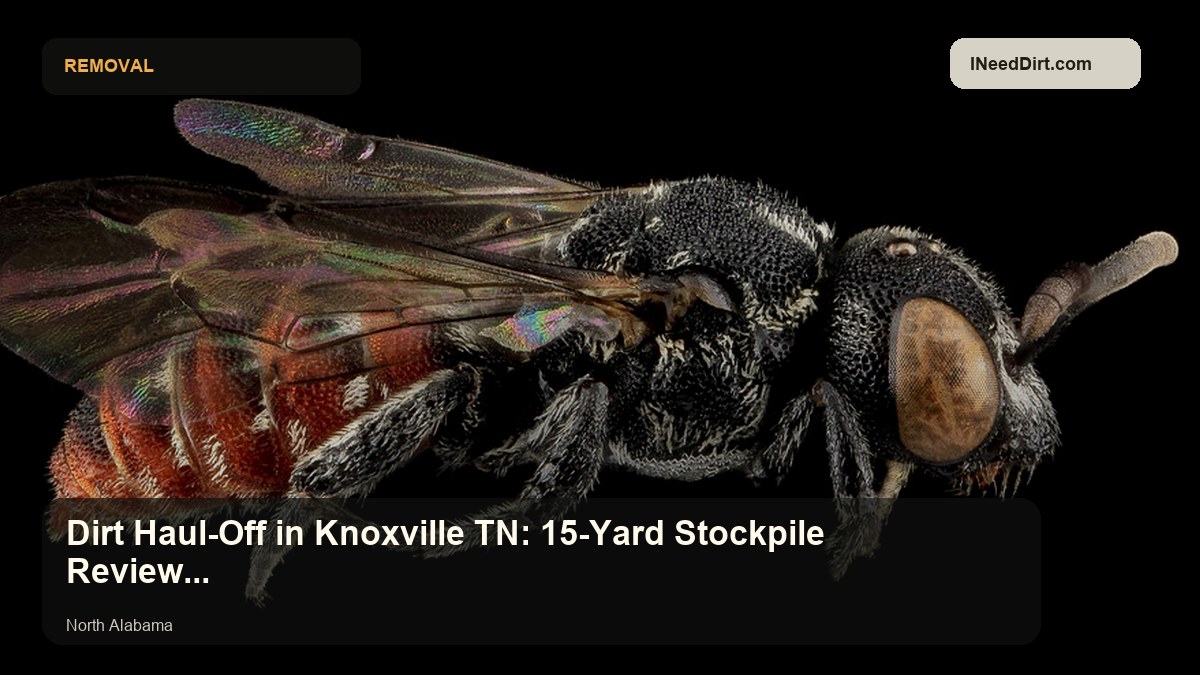 Dirt Haul-Off in Knoxville TN: 15-Yard Stockpile Review for Expansion Leads visual guide